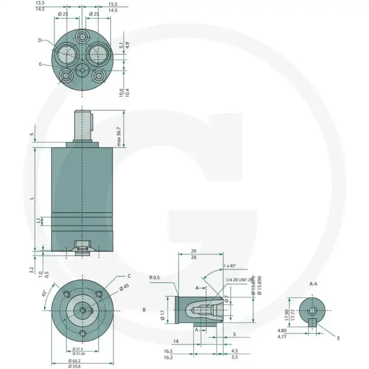 WHITE-151G0031-OMM-12,5-EA-Silnik-hydrauliczny-2